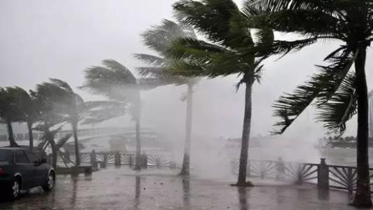8月臺風(fēng)雨即將來，除濕機還得用起來