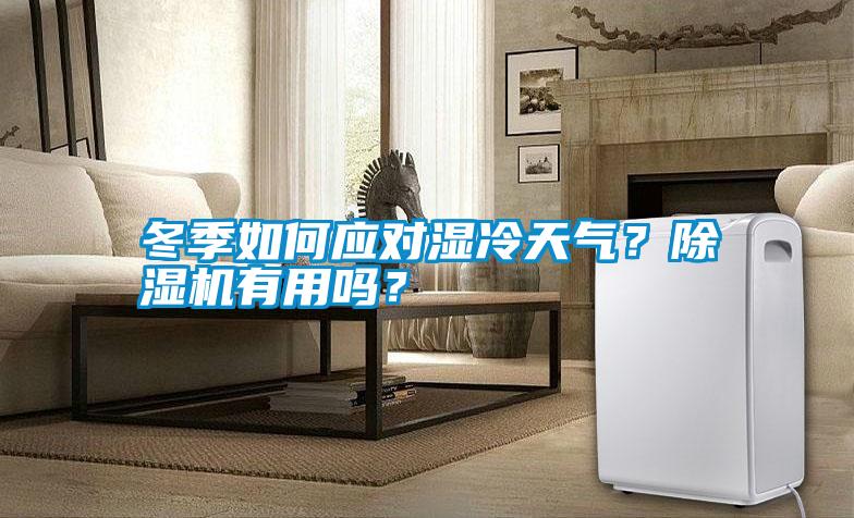 冬季如何應(yīng)對(duì)濕冷天氣？除濕機(jī)有用嗎？