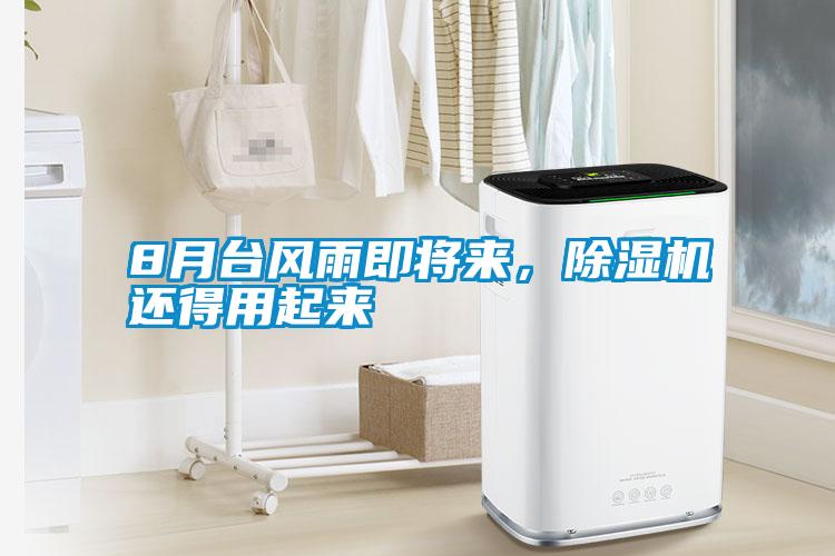 8月臺風雨即將來，除濕機還得用起來