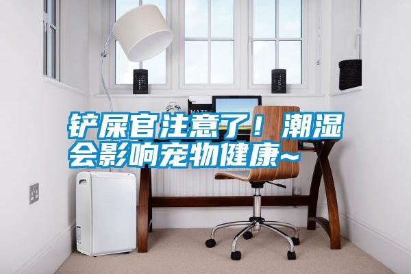 鏟屎官注意了！潮濕會影響寵物健康~