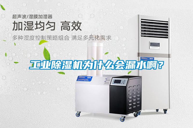 工業(yè)除濕機為什么會漏水?。?/></p>
						    <p style=
