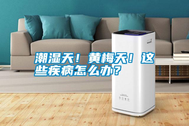 潮濕天！黃梅天！這些疾病怎么辦？