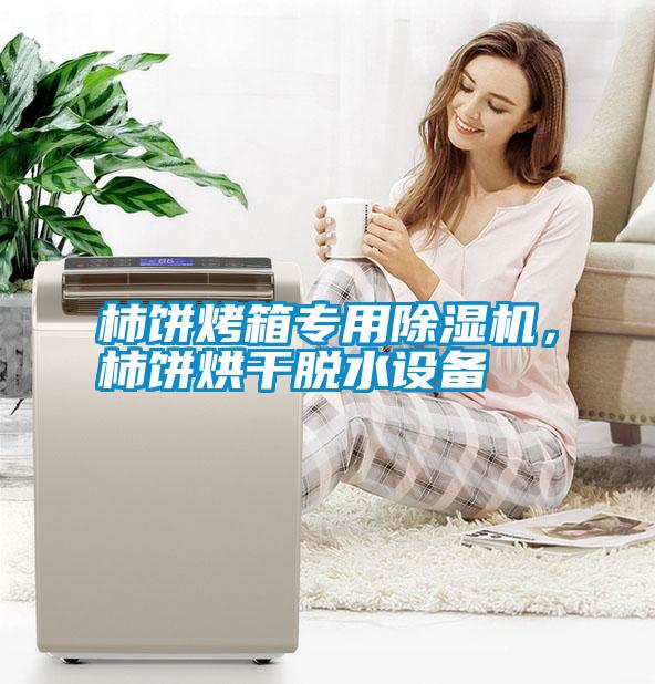 柿餅烤箱專用除濕機(jī)，柿餅烘干脫水設(shè)備