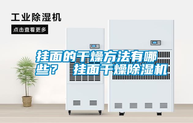 掛面的干燥方法有哪些？ 掛面干燥除濕機(jī)