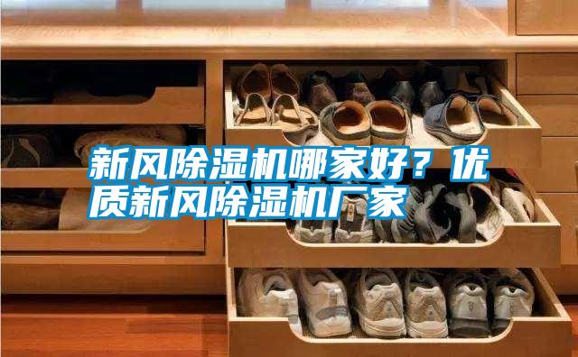 新風(fēng)除濕機(jī)哪家好？優(yōu)質(zhì)新風(fēng)除濕機(jī)廠家