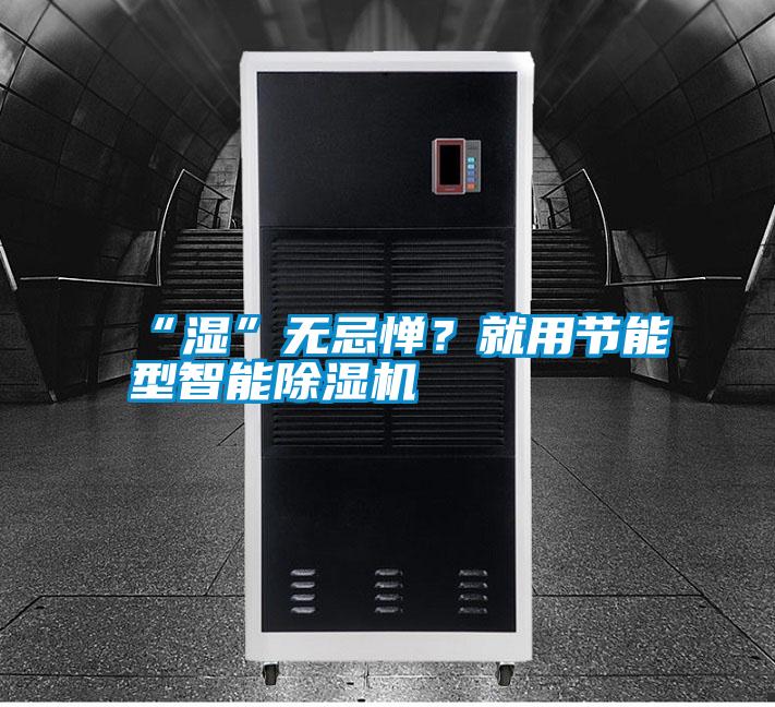 “濕”無忌憚？就用節(jié)能型智能除濕機(jī)