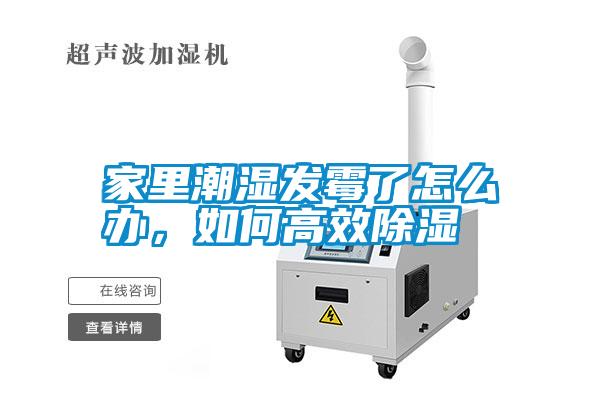 家里潮濕發(fā)霉了怎么辦，如何高效除濕