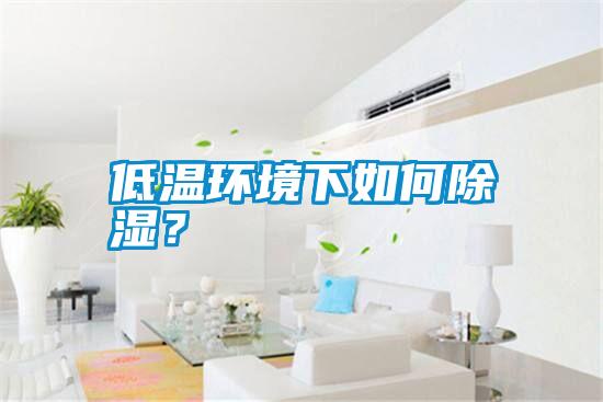 低溫環(huán)境下如何除濕？