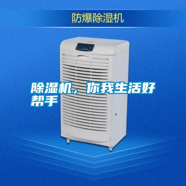 除濕機，你我生活好幫手
