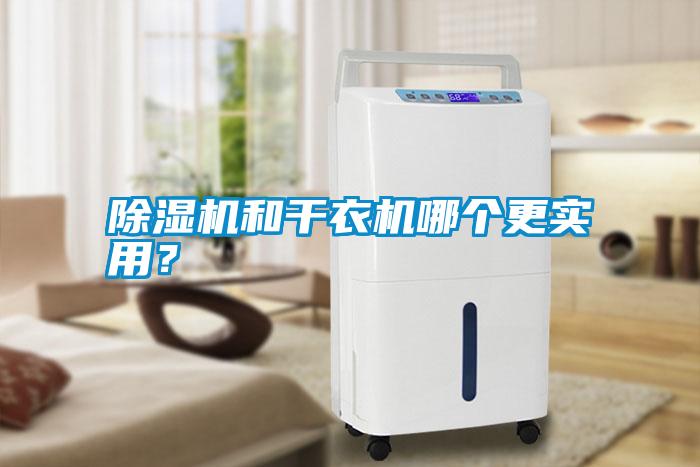 除濕機和干衣機哪個更實用？