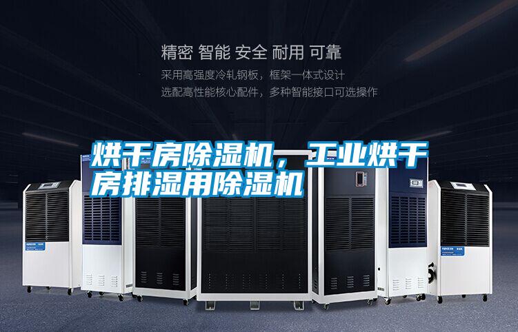 烘干房除濕機(jī)，工業(yè)烘干房排濕用除濕機(jī)