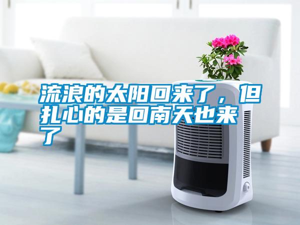 流浪的太陽回來了，但扎心的是回南天也來了
