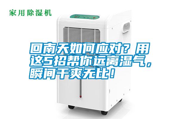 回南天如何應(yīng)對？用這5招幫你遠(yuǎn)離濕氣，瞬間干爽無比！
