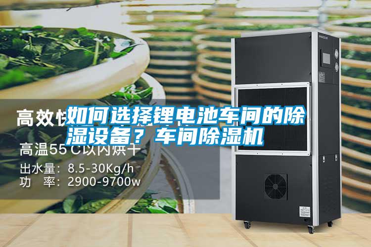 如何選擇鋰電池車間的除濕設(shè)備？車間除濕機(jī)