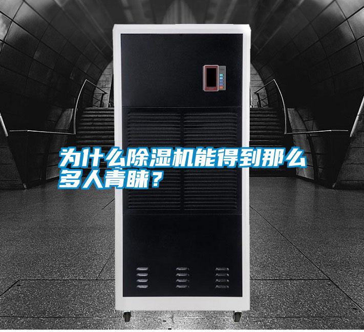 為什么除濕機能得到那么多人青睞？