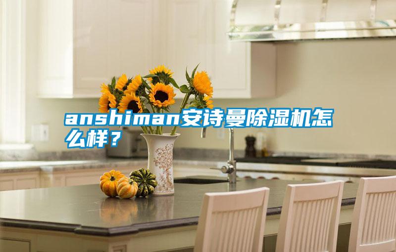 anshiman安詩曼除濕機怎么樣？