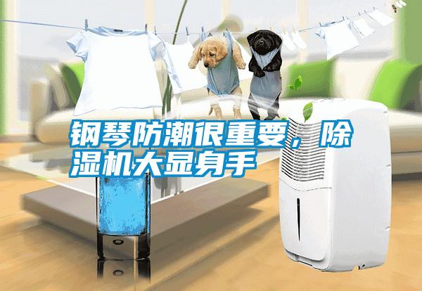 鋼琴防潮很重要，除濕機(jī)大顯身手