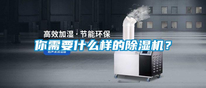 你需要什么樣的除濕機(jī)？