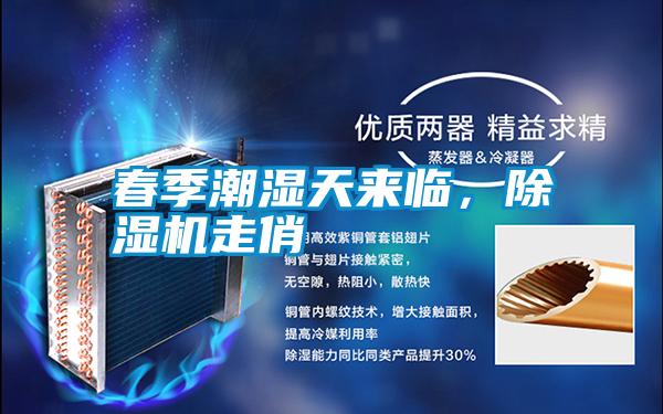 春季潮濕天來臨，除濕機(jī)走俏
