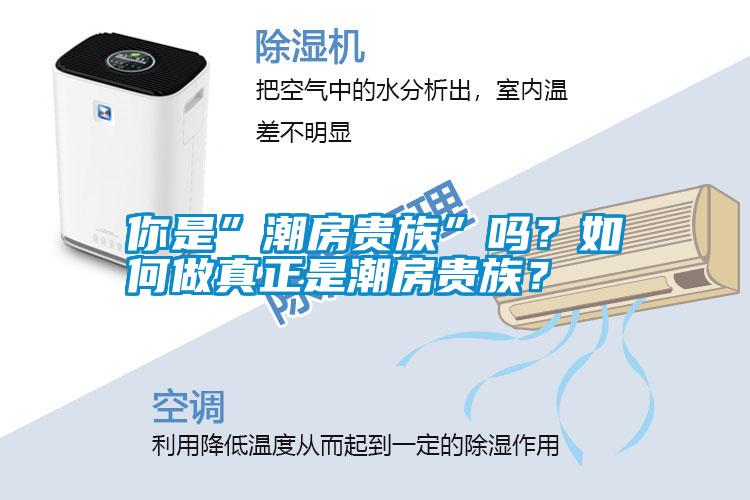 你是”潮房貴族”嗎？如何做真正是潮房貴族？