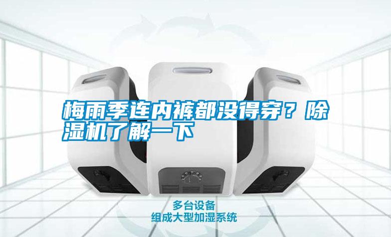 梅雨季連內(nèi)褲都沒(méi)得穿？除濕機(jī)了解一下