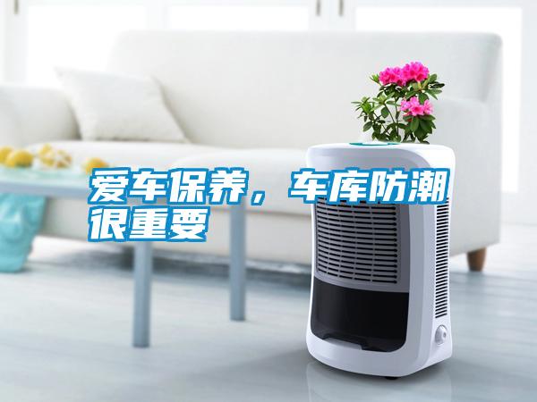 愛(ài)車保養(yǎng)，車庫(kù)防潮很重要