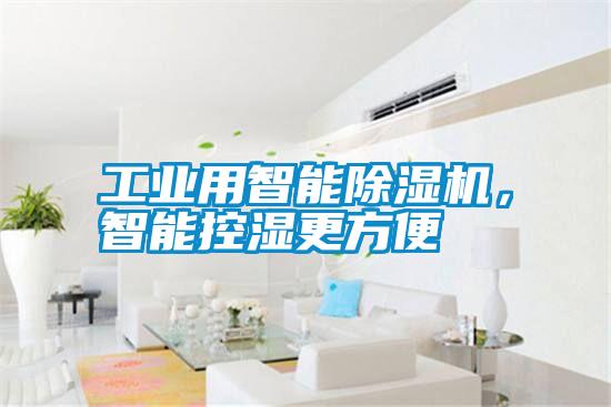 工業(yè)用智能除濕機(jī)，智能控濕更方便