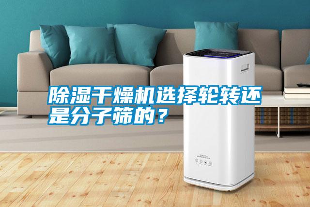 除濕干燥機選擇輪轉(zhuǎn)還是分子篩的？