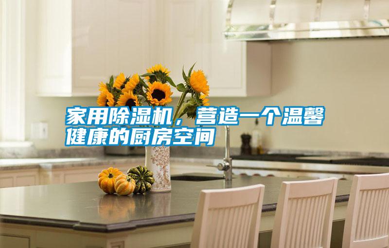 家用除濕機，營造一個溫馨健康的廚房空間