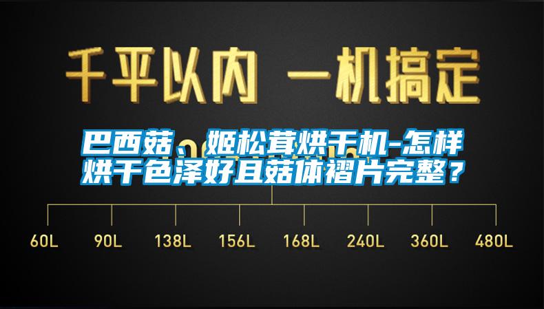 巴西菇、姬松茸烘干機-怎樣烘干色澤好且菇體褶片完整？