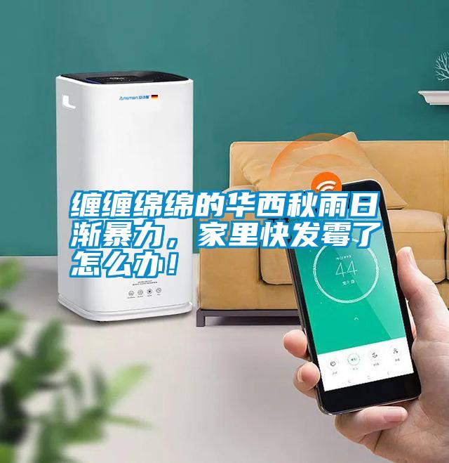纏纏綿綿的華西秋雨日漸暴力，家里快發(fā)霉了怎么辦！