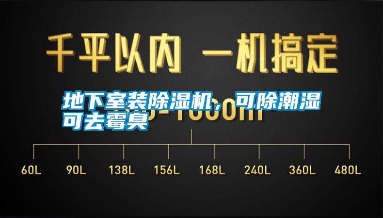 地下室裝除濕機，可除潮濕可去霉臭