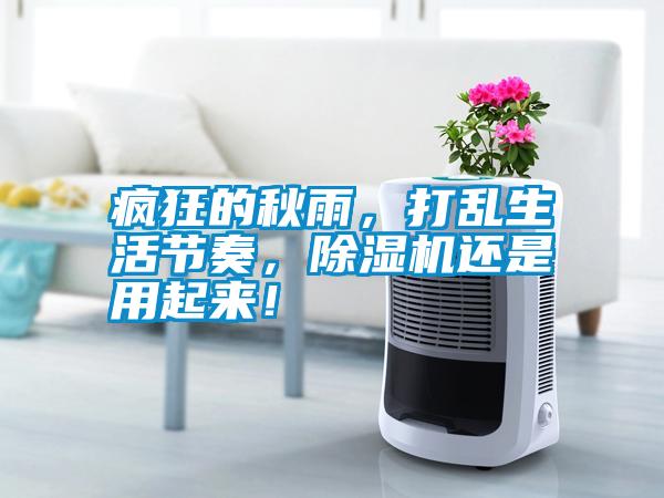 瘋狂的秋雨，打亂生活節(jié)奏，除濕機(jī)還是用起來！