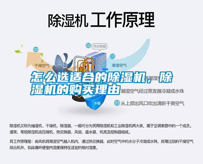 怎么選適合的除濕機(jī)，除濕機(jī)的購(gòu)買(mǎi)理由
