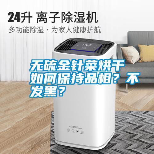 無硫金針菜烘干如何保持品相？不發(fā)黑？