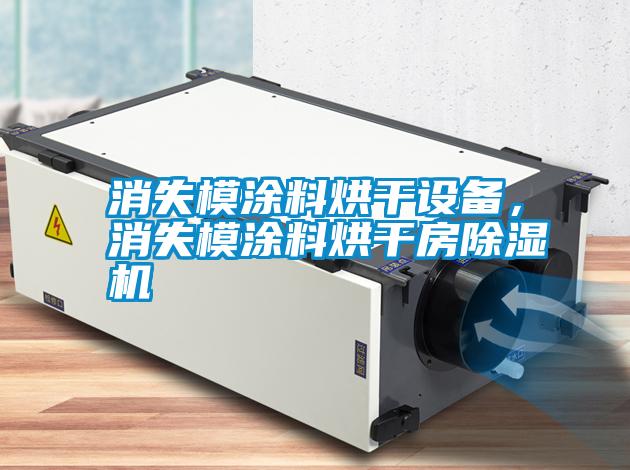 消失模涂料烘干設(shè)備，消失模涂料烘干房除濕機