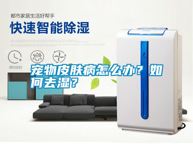 寵物皮膚病怎么辦？如何去濕？