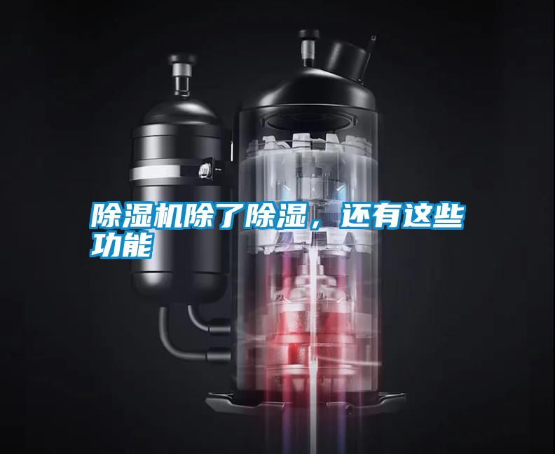 除濕機(jī)除了除濕，還有這些功能