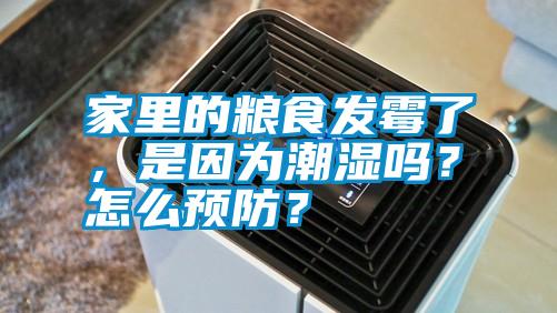 家里的糧食發(fā)霉了，是因為潮濕嗎？怎么預防？