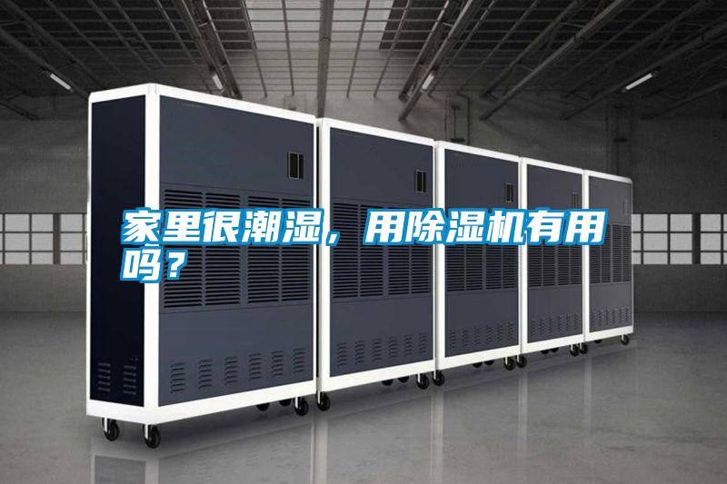 家里很潮濕，用除濕機(jī)有用嗎？