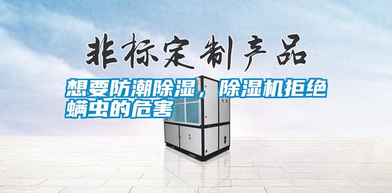 想要防潮除濕，除濕機拒絕螨蟲的危害