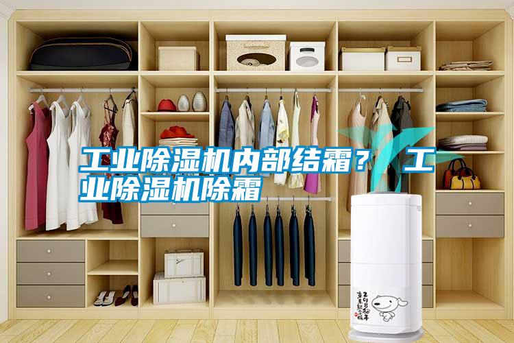 工業(yè)除濕機內(nèi)部結霜？ 工業(yè)除濕機除霜