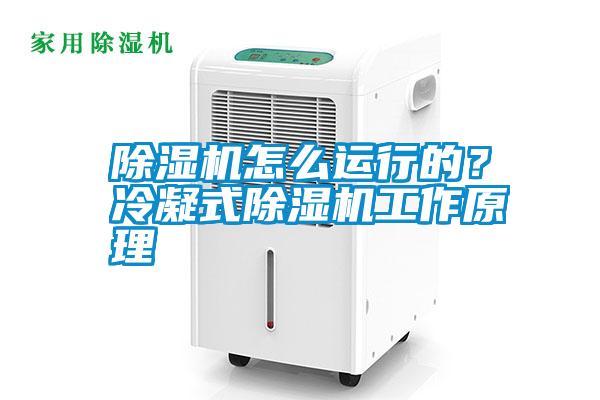 除濕機(jī)怎么運(yùn)行的？冷凝式除濕機(jī)工作原理