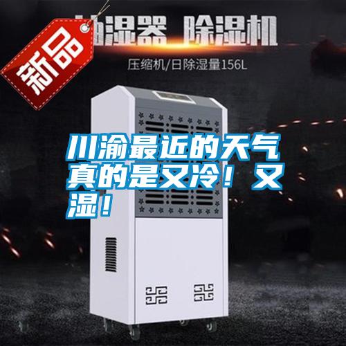 川渝最近的天氣真的是又冷！又濕！