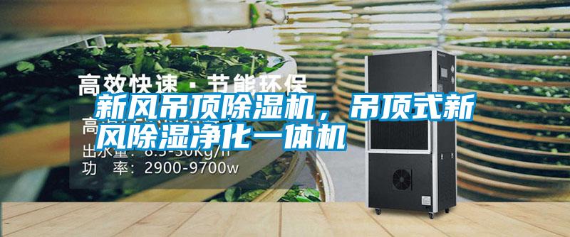 新風(fēng)吊頂除濕機(jī)，吊頂式新風(fēng)除濕凈化一體機(jī)