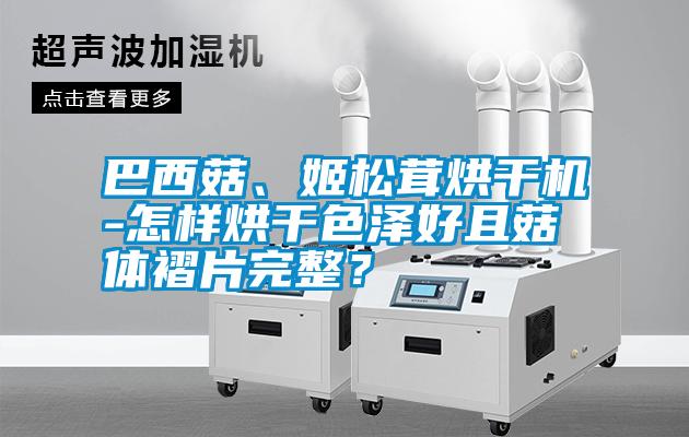 巴西菇、姬松茸烘干機(jī)-怎樣烘干色澤好且菇體褶片完整？
