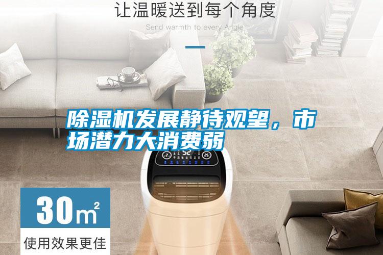 除濕機(jī)發(fā)展靜待觀望，市場(chǎng)潛力大消費(fèi)弱