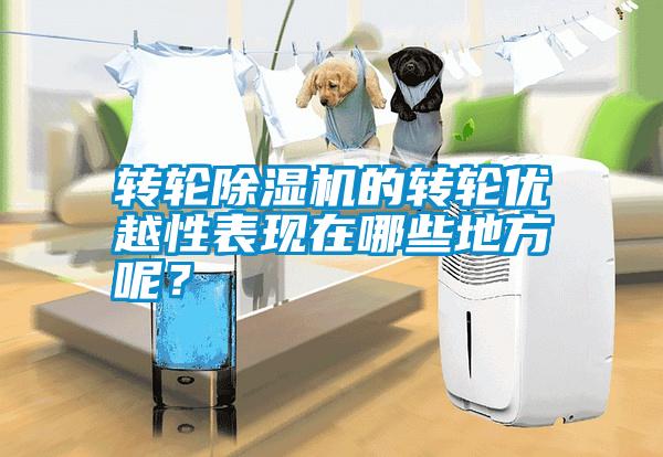 轉(zhuǎn)輪除濕機(jī)的轉(zhuǎn)輪優(yōu)越性表現(xiàn)在哪些地方呢？
