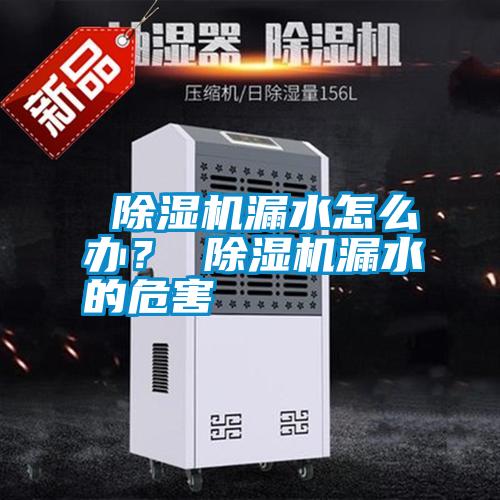  除濕機漏水怎么辦？ 除濕機漏水的危害