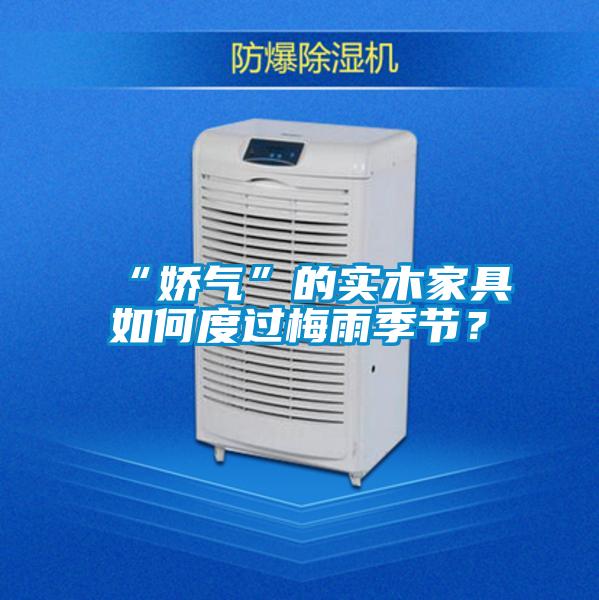 “嬌氣”的實(shí)木家具如何度過(guò)梅雨季節(jié)？